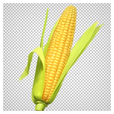 دانلود فایل png و بدون پس زمینه بلال و ذرت (Corn clip art free)