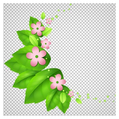 تصویر دوربری شده برگ و گل پنج برگ با فرمت png با کیفیت بالا