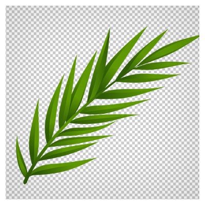 دانلود فایل بدون بکگرند و دوربری شده برگ درخت با پسوند png