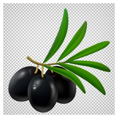 دانلود زیتون های سیاه کارتونی بصورت فایل PNG دوربری شده و فاقد زمینه