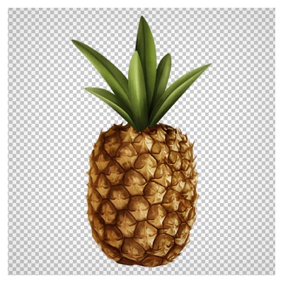 دانلود تصویر آناناس بصورت فایل PNG دوربری شده و بدون بکگرند