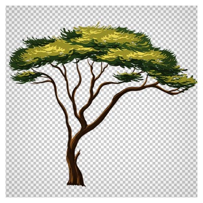 دانلود تصویر png درخت وحشی بلند به صورت ترانسپرنت و دوربری شده