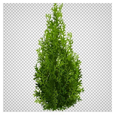 دانلود درخت سرو کارتونی به صورت فایل ترانسپرنت و دوربری شده