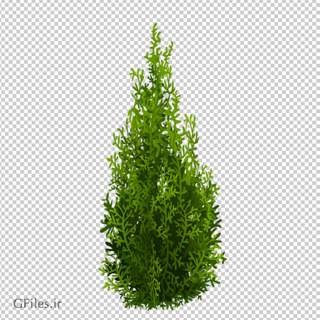 دانلود درخت سرو کارتونی به صورت فایل ترانسپرنت و دوربری شده