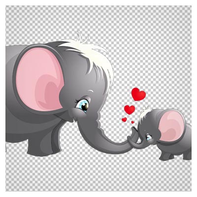 دانلود مادر و بچه فیل چشم آبی (مهر مادری در حیوانات) بصورت فایل دوربری شده و بدون بکگرند