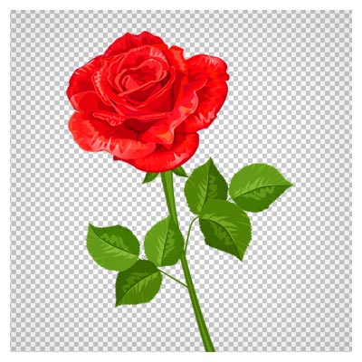 دانلود شاخه گل مصنوعی رز کارتونی بصورت فایل با پسوند png و فاقد پس زمینه