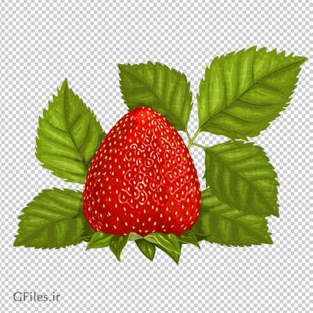 فایل png توت فرنگی و برگ به صورت ترانسپرنت و دوربری شده