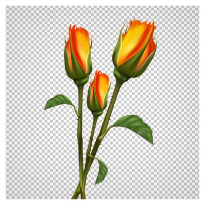 دانلود تصویر فایل png رزهای زرد آتشی دوربری شده